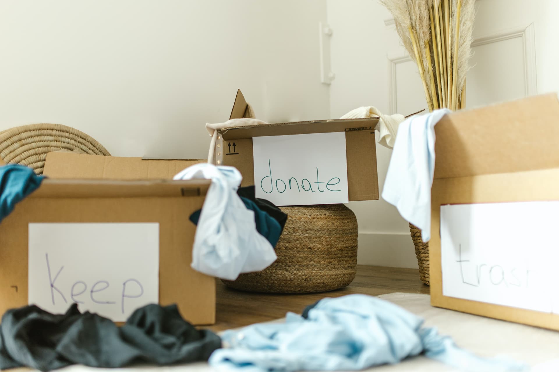 Donation stock photo